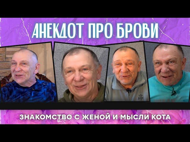 Анекдот про брови, знакомство с женой и мысли кота