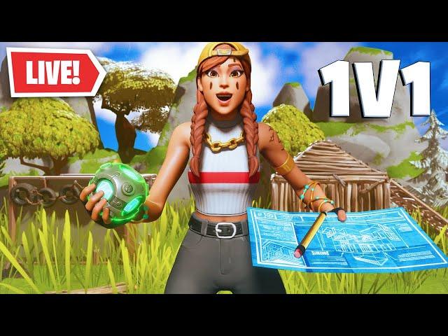 CHALLENGE!  For EVERY Viewer, I Lower MY Graphics in Fortnite.. - 50/365