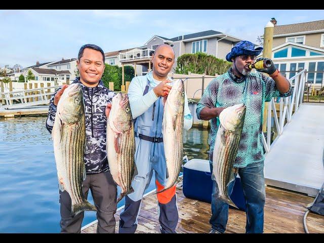 Striped Bass Action with Capt Joey Leggio