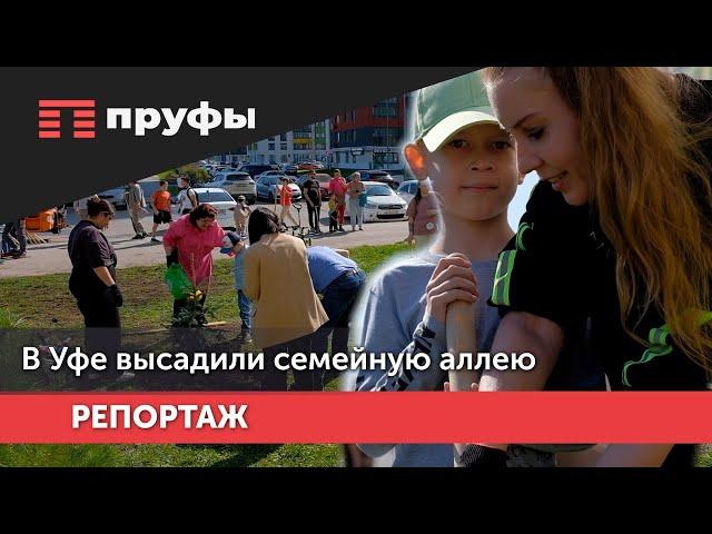 В Уфе высадили семейную аллею