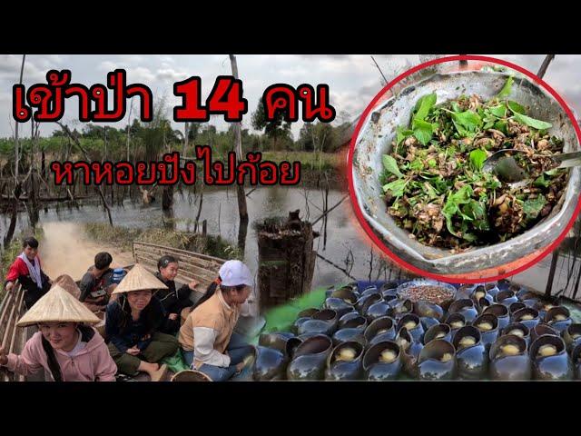 เข้าป่า 14 คนหาหอยปังไปก้อย/ເຂົາປ່າ14ຄົນຫາຫອຍປັງໄປກ້ອຍ