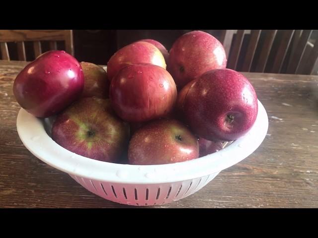 Making Moonshine Using Apples Instead of Corn