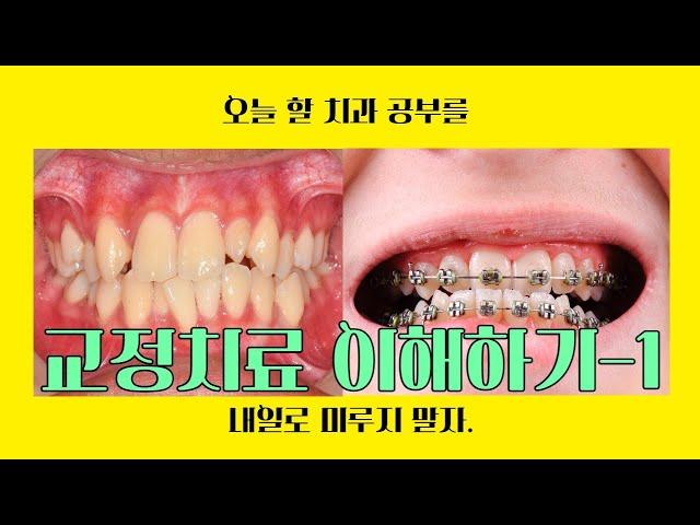 교정치료 이해하기-1‍️(흥지혜)