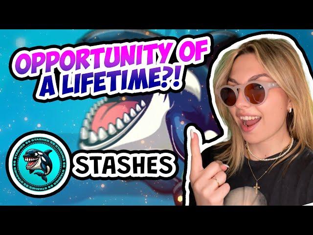 Stashes Review - Learn how to Become a Web 3 Whale TODAY!