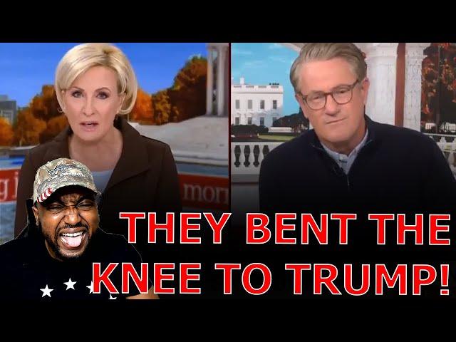 Joe Scarborough & Mika ROASTED For BENDING THE KNEE & Visiting TRUMP At Mar A Lago To BEG FOR MERCY!