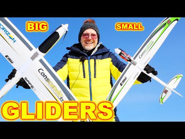 My favorite Gliders & Sail Planes for RC Beginner Pilots.