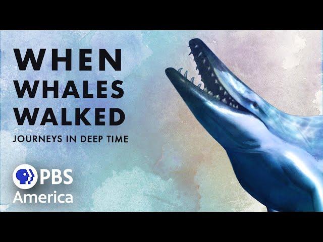 When Whales Walked: Journeys in Deep Time (2019) | Full Documentary