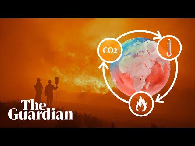 The climate science behind wildfires: why are they getting worse?