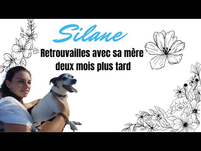 Silane met fin à ses jours - Retrouvailles avec sa mère deux mois plus tard