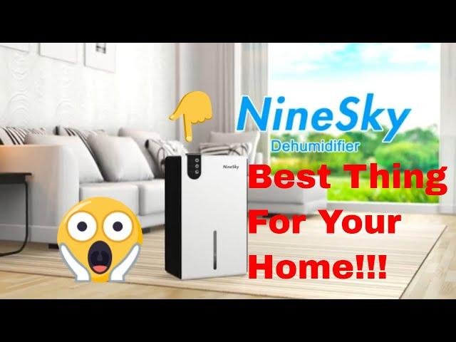 NineSky Dehumidifier | Effective Dampness and Mold control for Home