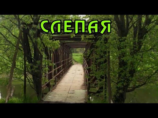 СЛЕПАЯ. ПРИМЕТЫ ИЗ СЕРИАЛА Часть 12. Приметы от Бабы Нины в каждой серии.