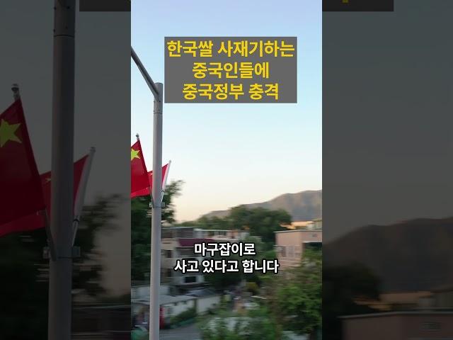 [해외감동사연] 한국 쌀 싹쓸이하는 중국인들! 중국 역사상 처음으로 한국 쌀 사재기 열풍에 중국 정부 충격받았다!