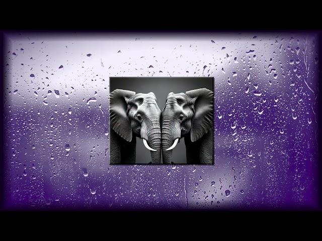 Sam Machin | "Elephants" 