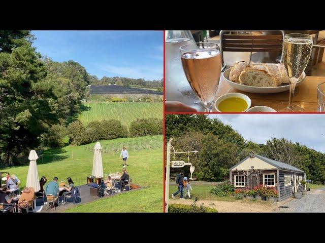 A special day for father | Lunch in winery restaurant | Gifts for Dad