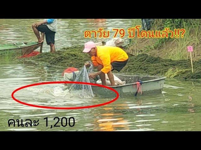 #ลากปลาแทบไม่ไหว!!เมื่อคุณตาวัย 79 ปีเจอแบบนี้เหมาสระลงแหบัตร 1,200 บาท!?