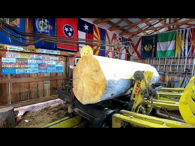 sawing the biggest pine log ever on this sawmill & Merry Christmas # 373