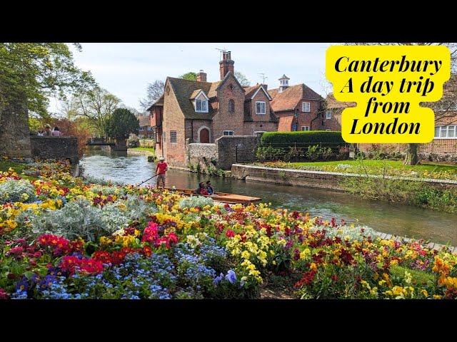 Day trip to CANTERBURY | Day trip from London | Canterbury travel guide @nehazkitchen221