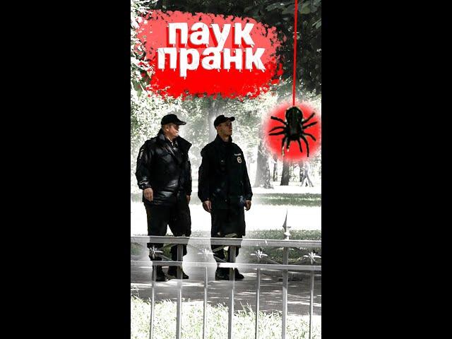 Они струхнули от гигантского паука / приколы над людьми / пранк