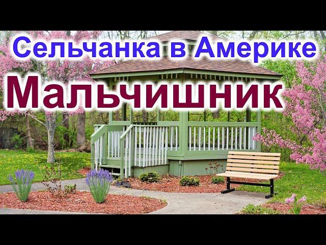 Сельчанка в Америке.Мальчишник.Буфет