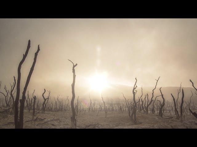 DESERT SOUND #Wind with sand, Hurricane - Health Meditation