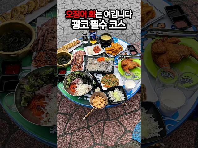 술이 막 들어가는 오징어 횟집, 광코가면 여기 가세요! #맛집 #대구맛집