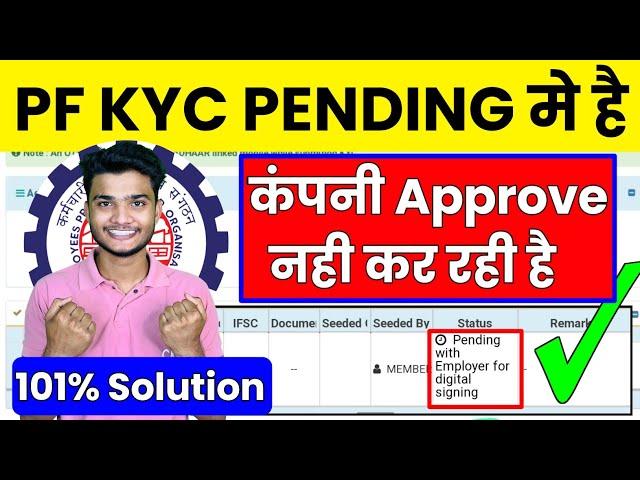  PF KYC New Update 10/12/2024 | PF Bank KYC Approve kaise kare 2024 | PF KYC Kaise kare 2024 #pfkyc