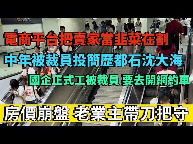 房價崩盤，老業主帶刀把守不讓新業主入住。國企正式工被裁員，要去開網約車。中年被裁員投簡歷都石沈大海。電商平台把賣家當韭菜在割。