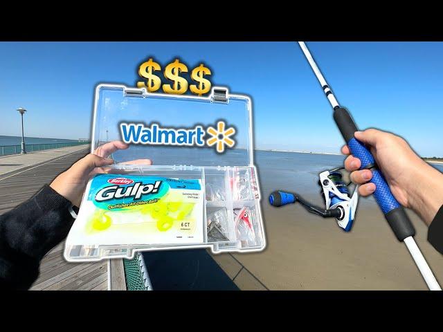 The MOST EXPENSIVE Walmart Saltwater Fishing Kit!! (Fishing Challenge)