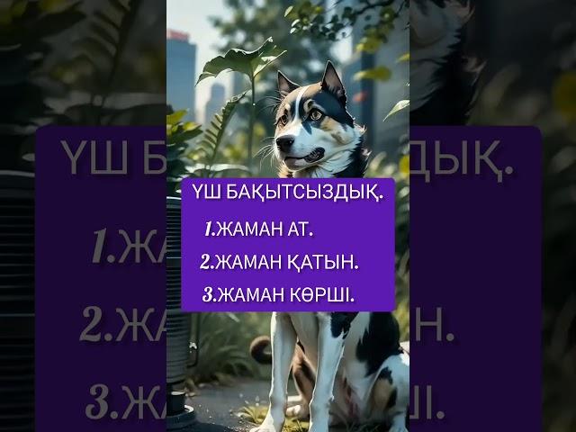 #нақылсөздер #аудиокітап