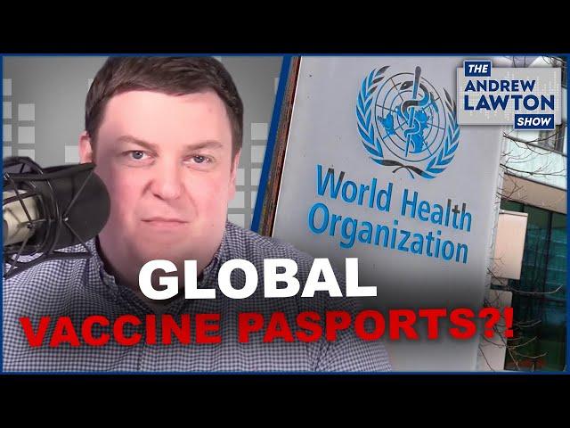 WHO wants a global vaccine passport to "make travel easier"