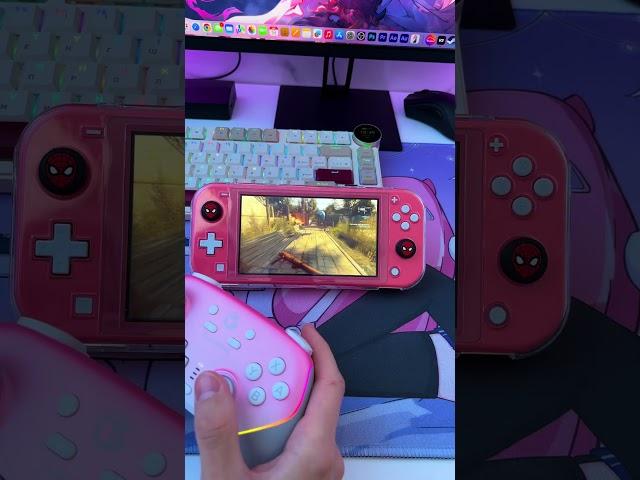 Nintendo Switch Lite after 3 months of use