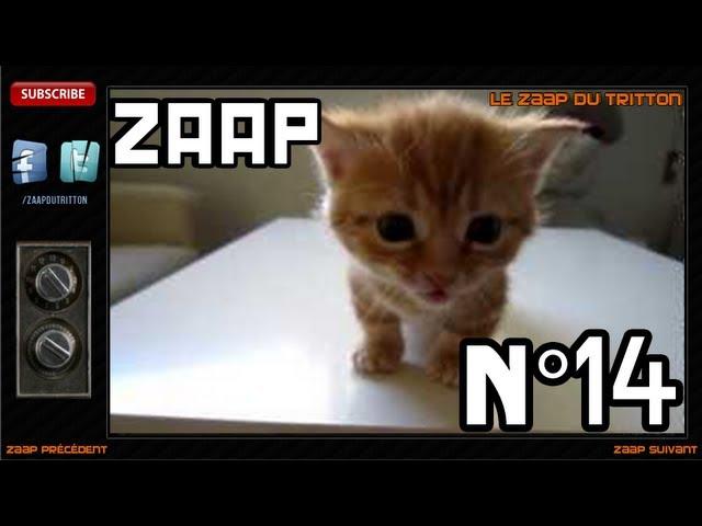 Le Zaap du Tritton n°14