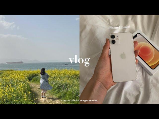 Vlog taken with iPhone 12 Mini (No Filter)  11 Pro, XS Vlog Video Comparison