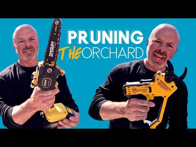 Orchard Pruning with DeWalt 20V MAX Cordless Pruner