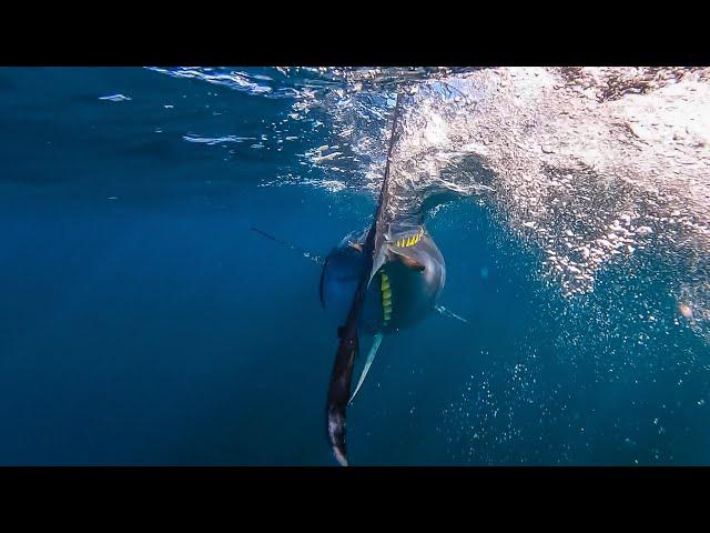 Jigging for Giant Bluefin Tuna | Cape Cod, MA | S20 E07