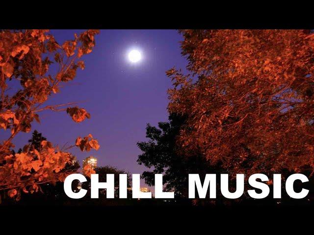 Chill Music: Best of 2024 chill out music for downtempo, ambient & lounge music chillout mix lovers