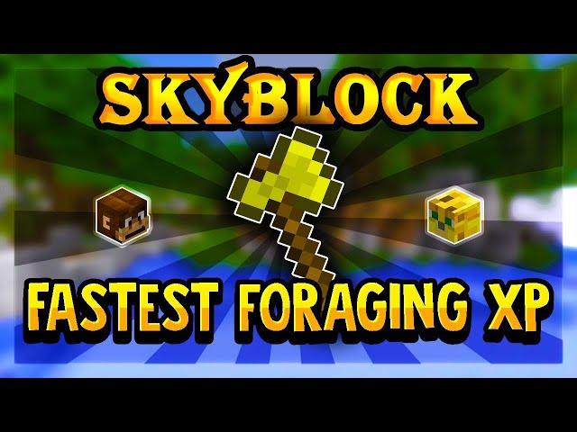 How to ease level up your Foraging Skill XP! | Hypixel Skyblock