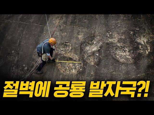공룡 발자국 400여 개가 절벽에서 발견된 이유는?!