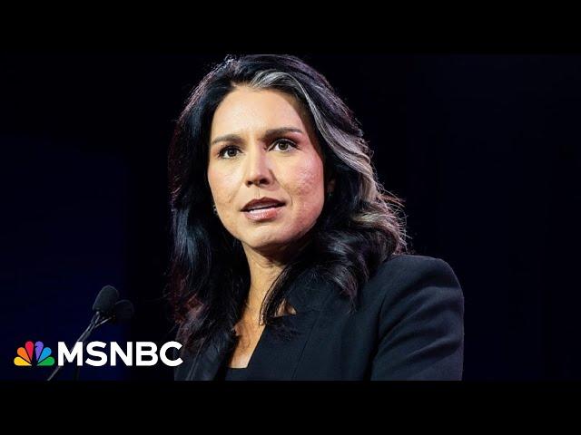 Director of national intelligence requires 'absolute objectivity': Steve Israel slams Gabbard