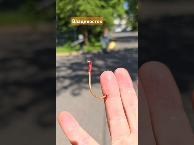 Рыбалка во Владивостоке.  #БлогВладивосток ищи в телеграмм и вк и рт и дзен
