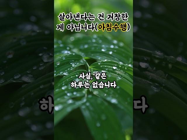 살아내는 것, 그것만으로도 수행입니다 아침수행 부처님말씀|마음챙김|불교감성|불교명상|마음치유|불교이야기|불교오디오북
