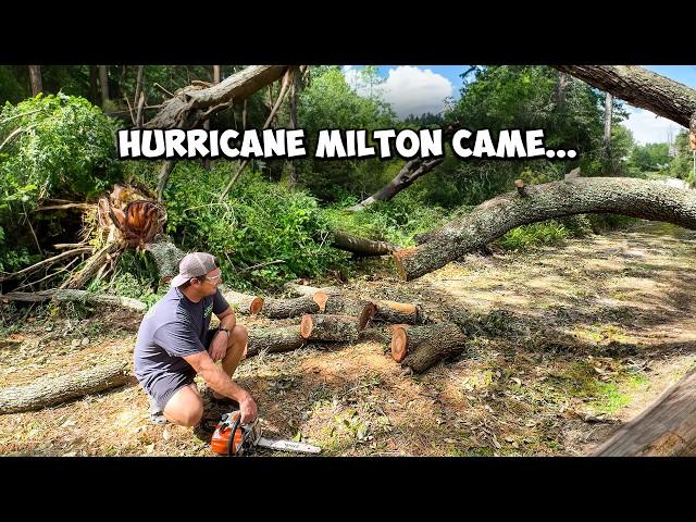 Hurricane Milton DESTROYED My Yard! Chainsaw to the Rescue