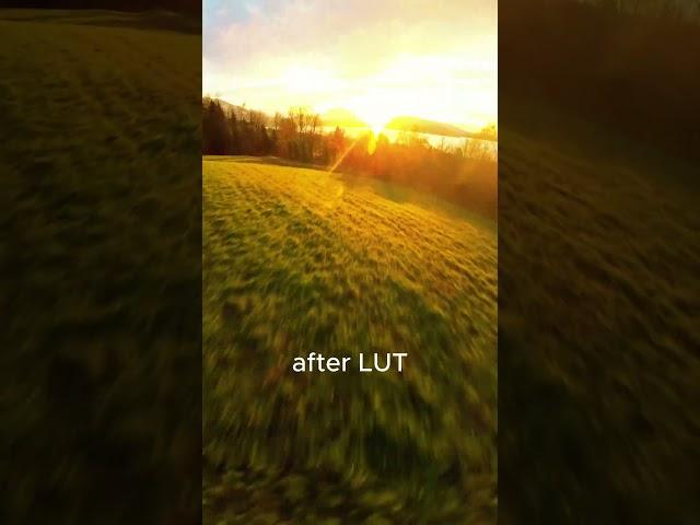 Before vs after LUT#fpv