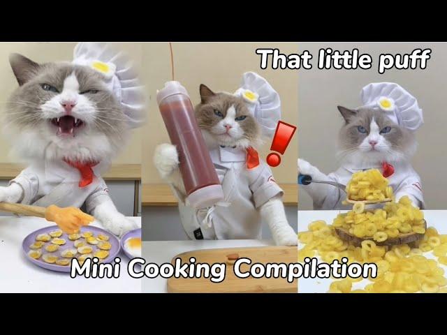 Mini recipes! | That Little Puff