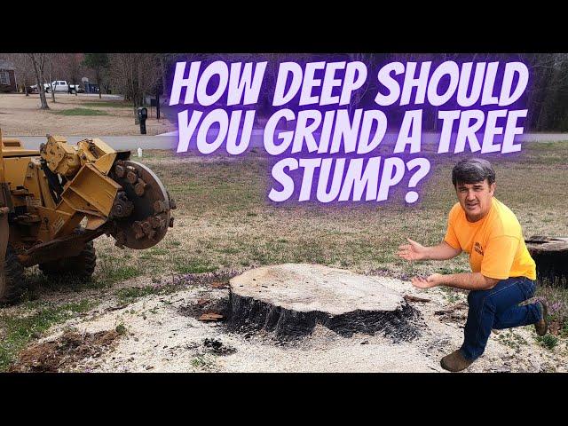 How Deep Should You Grind a Tree Stump?