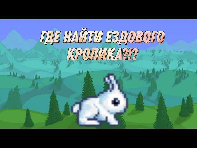 Как найти ездового питомца Кролика в Terraria 1.4?!?