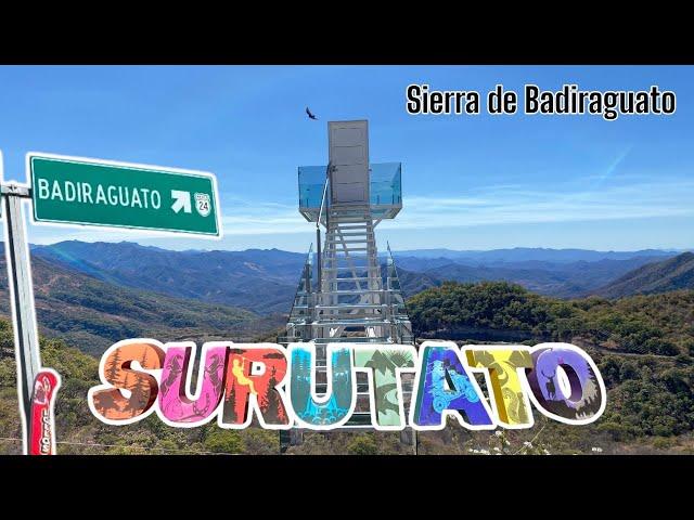 Sierra de Badiraguato, Surutato.