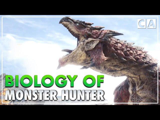 The Biology of Monster Hunter | Ancient Forest