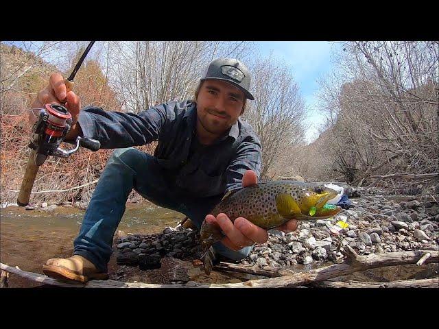 Trout Fishing w/ the CHEAPEST Lures from Walmart!