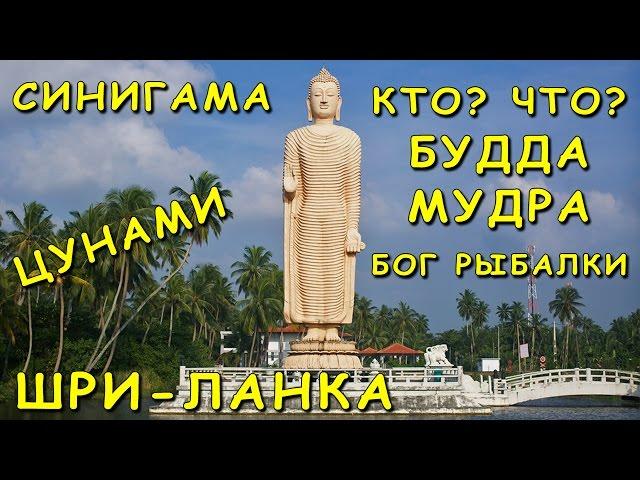 Цунами на Шри-Ланке / Кто Такой Будда / Достопримечательности Хиккадувы / Храм Синигама